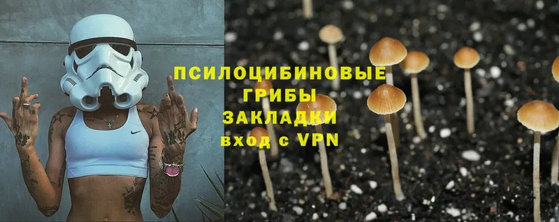 Псилоцибиновые грибы MAGIC MUSHROOMS  дарк нет как зайти  Бийск 